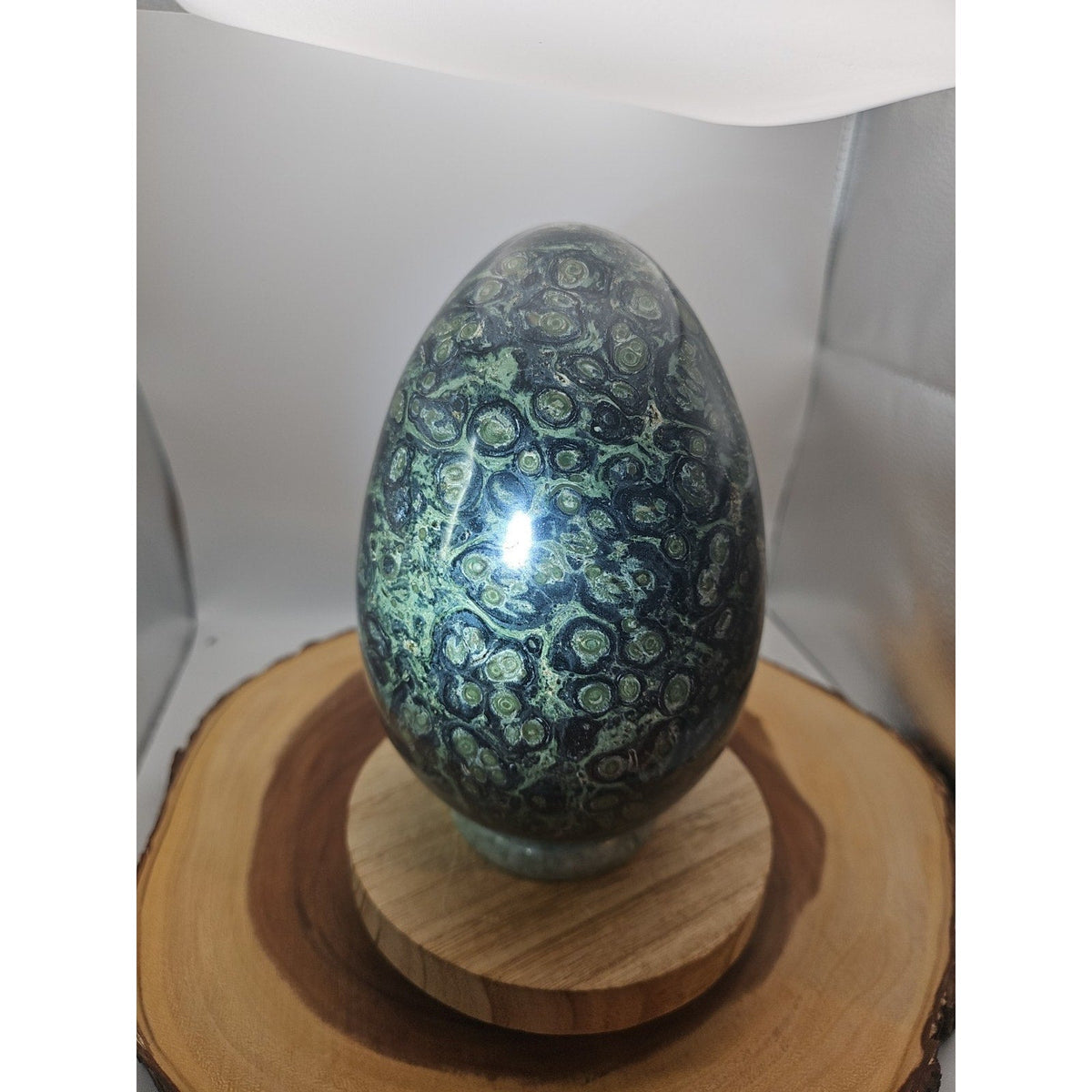 9.1LB Natural Kambaba Jasper Quartz Crystal egg Mineral specimen Healing
