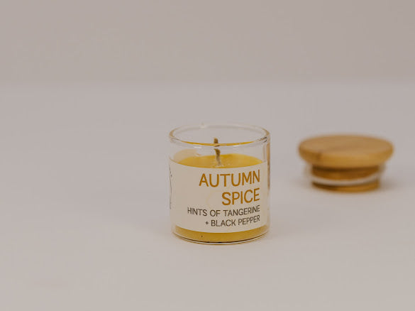 Autumn Spice Beeswax Candle |8 oz