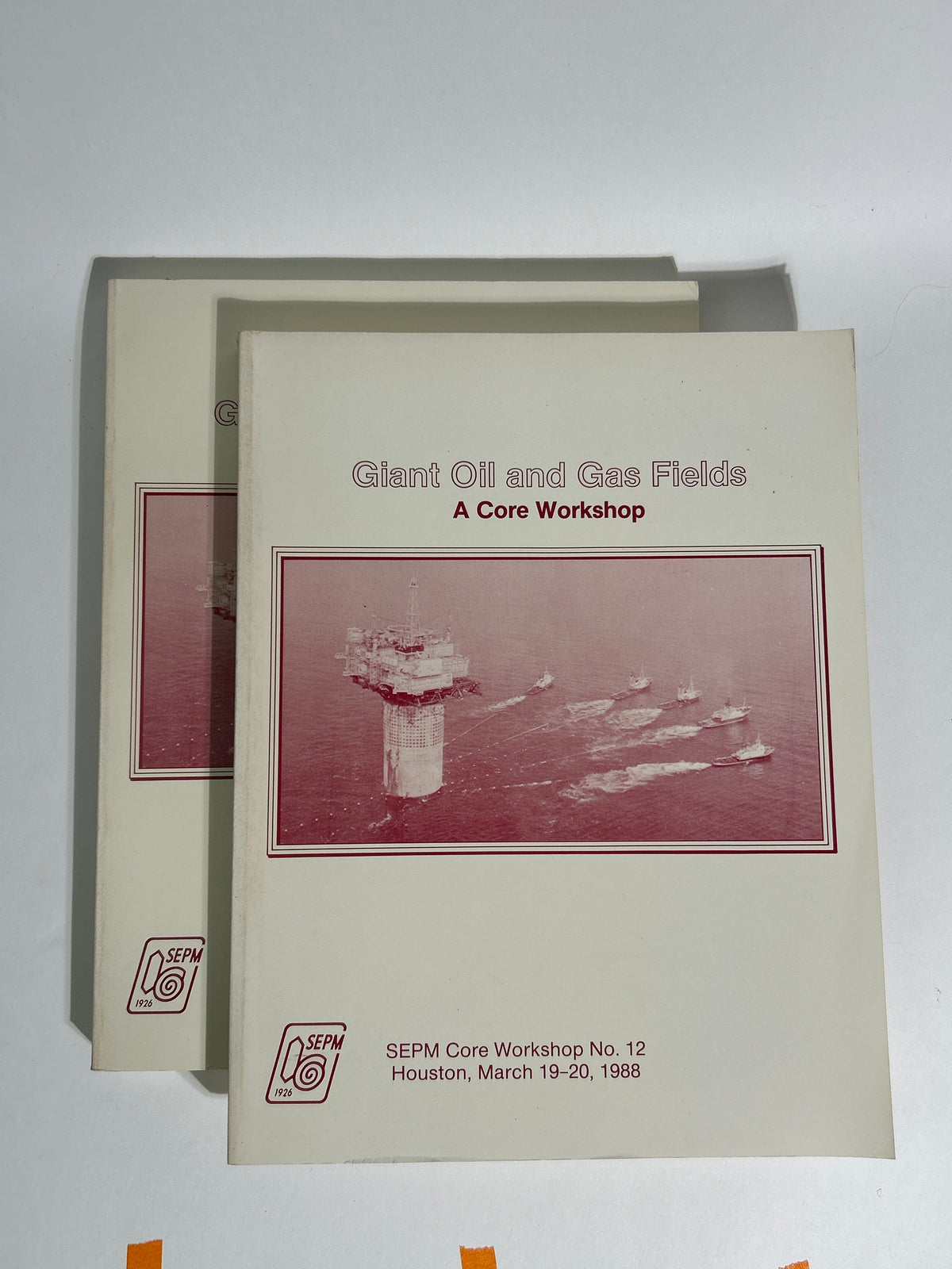 Professional Petroleum Geology & Well Log Library – AAPG Schlumberger 12 Books