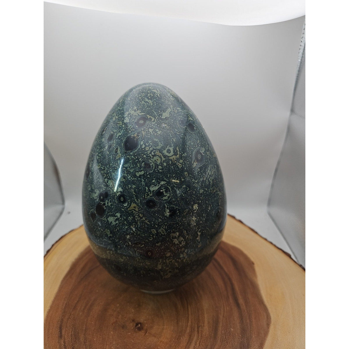Kambaba Jasper Specimen with Jade Stand – 15.2 lb