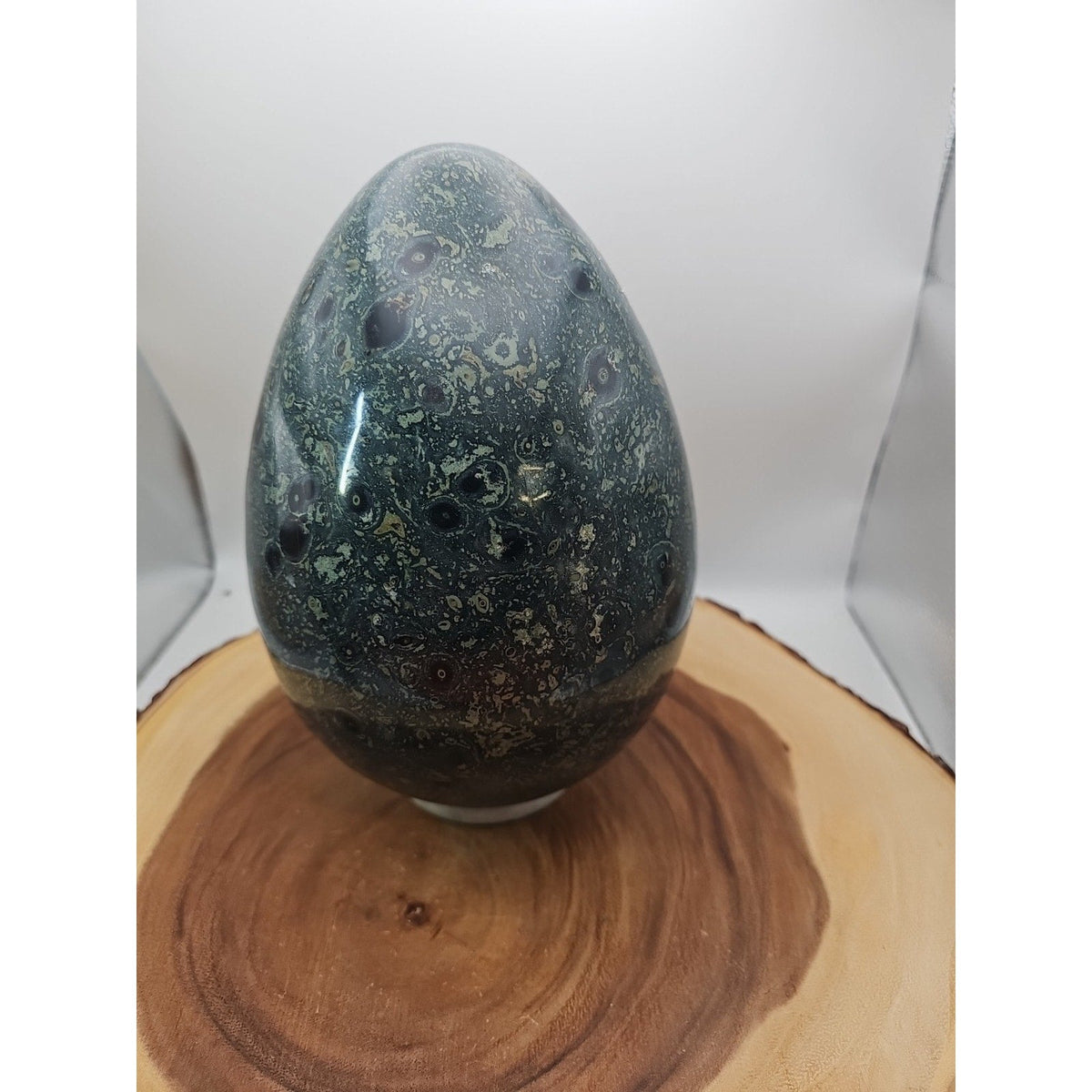 Kambaba Jasper Specimen with Jade Stand – 15.2 lb