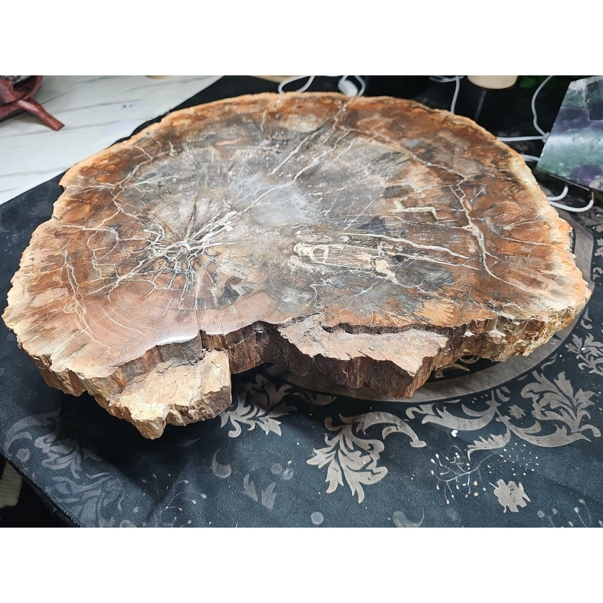 27.3 lb Fossil Wood Sculpture — Mineral Statement Piece