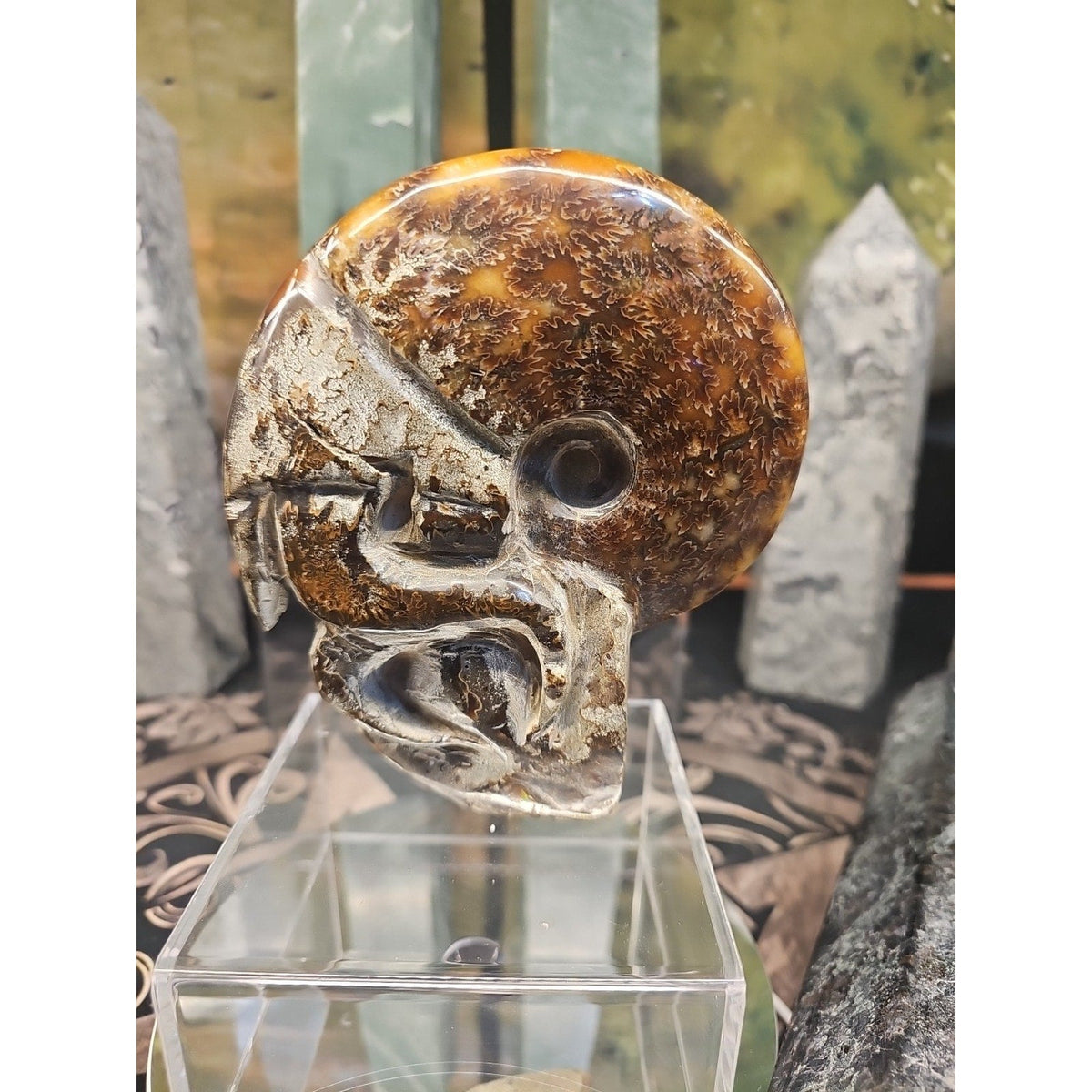 Natural Tentacle Ammonite Fossil – 1.26 lb Madagascar