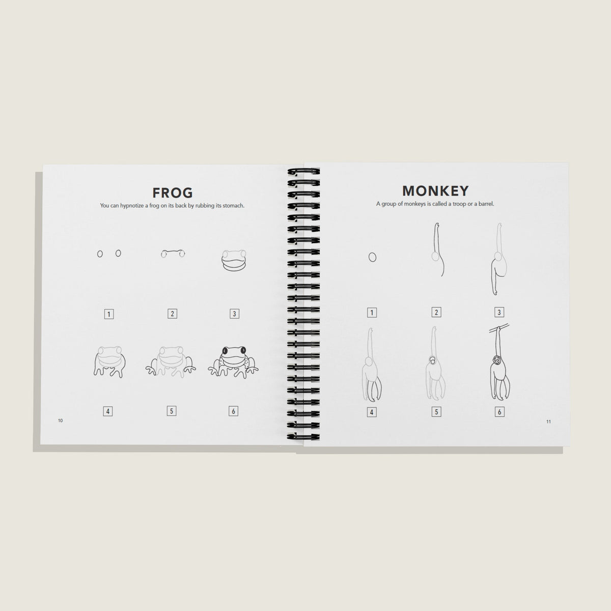 How to Draw All the Animals (Spiral)