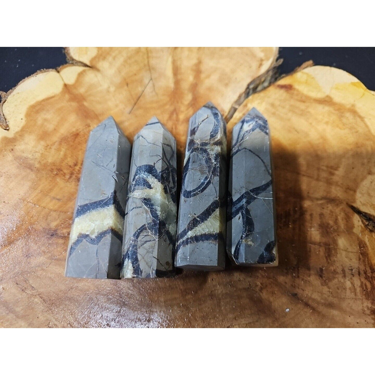 Dragon Septarian Geode Cluster Set — 1 lb, 4 Pieces from Madagascar