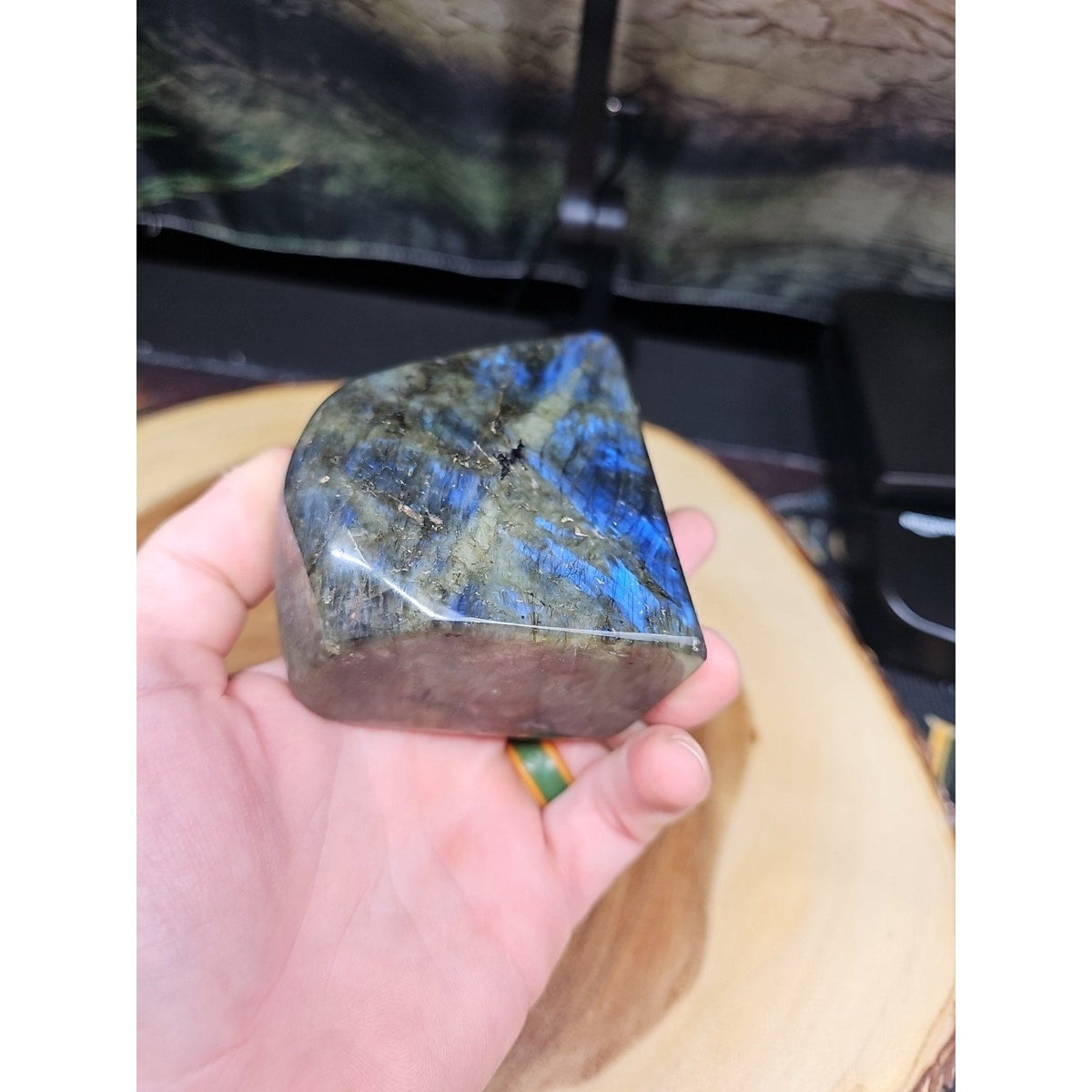 Rainbow Labradorite Spectrolite — 1.45lb, Color Flash Stone, Madagascar