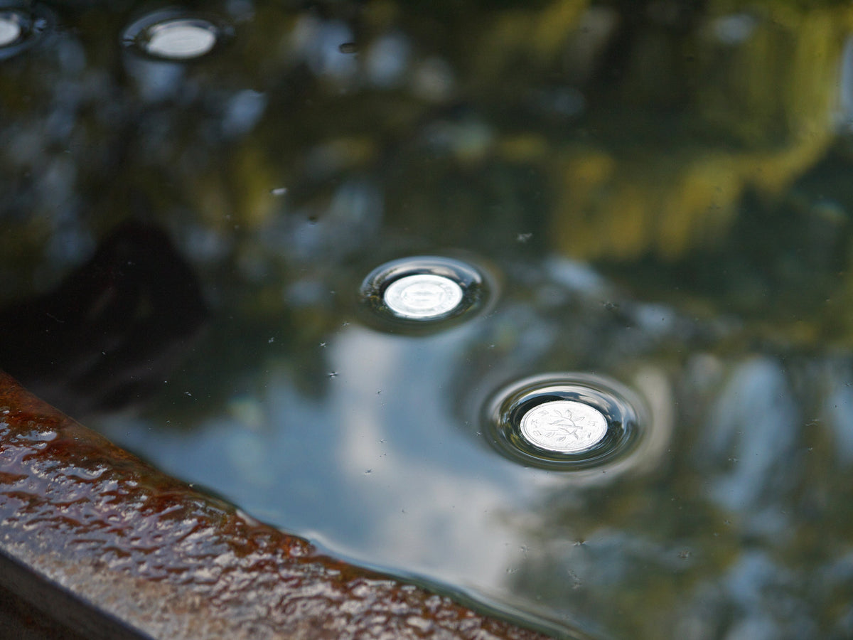 Floating Coins - 3/pk