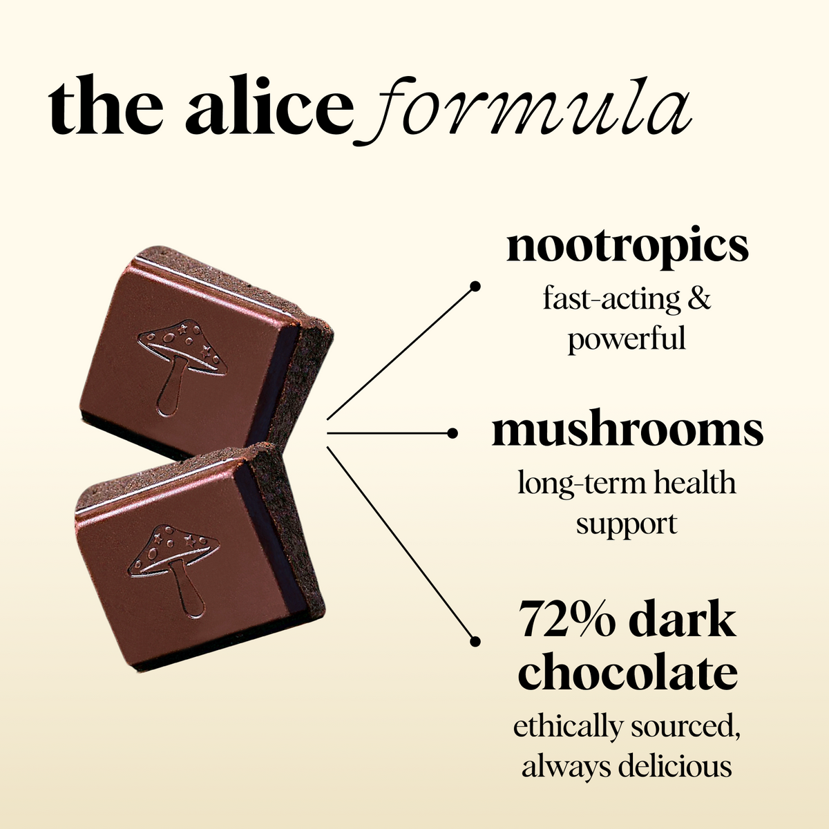 Zen-X Functional Mushroom Chocolates