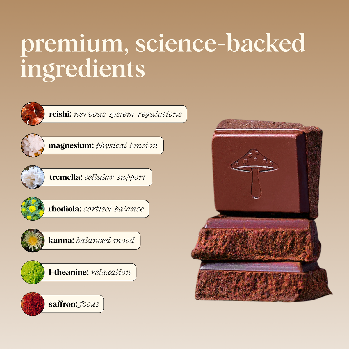 Zen-X Functional Mushroom Chocolates