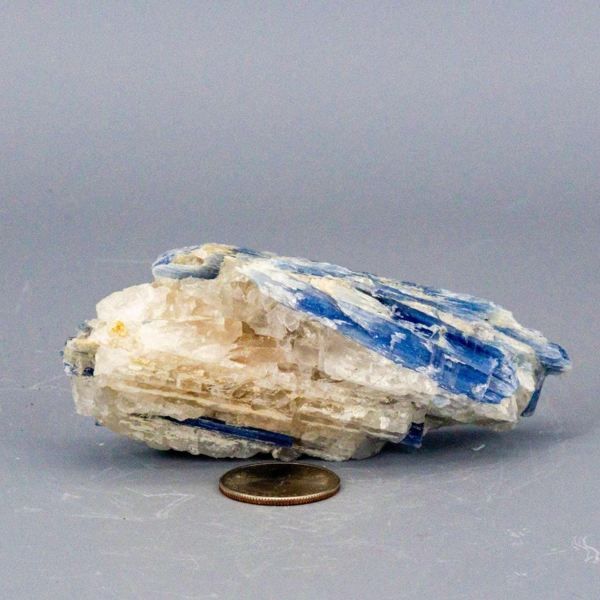 Blue Kyanite Crystal Blades in Clear Quartz Cluster