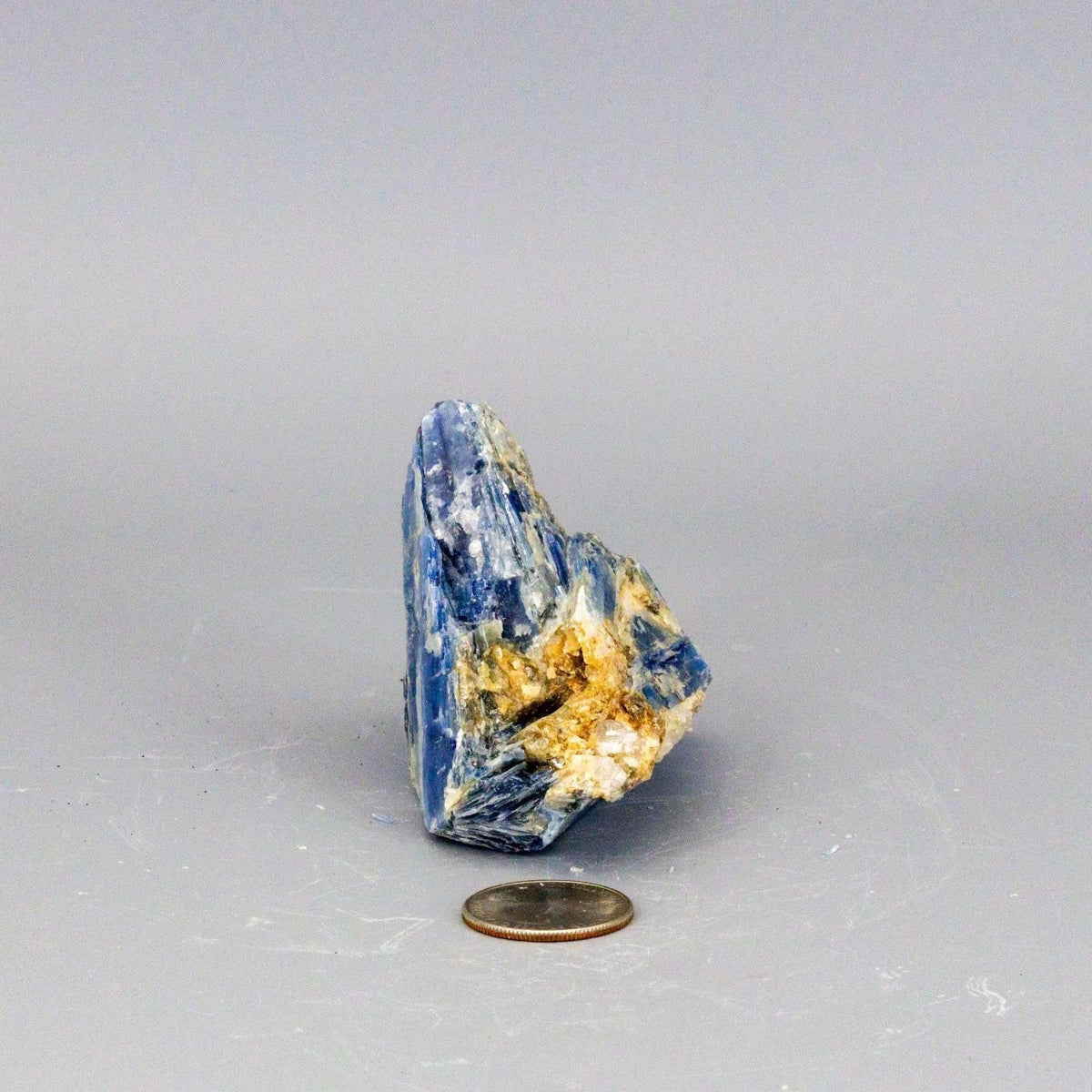Blue Kyanite Crystal Blades in Clear Quartz Cluster