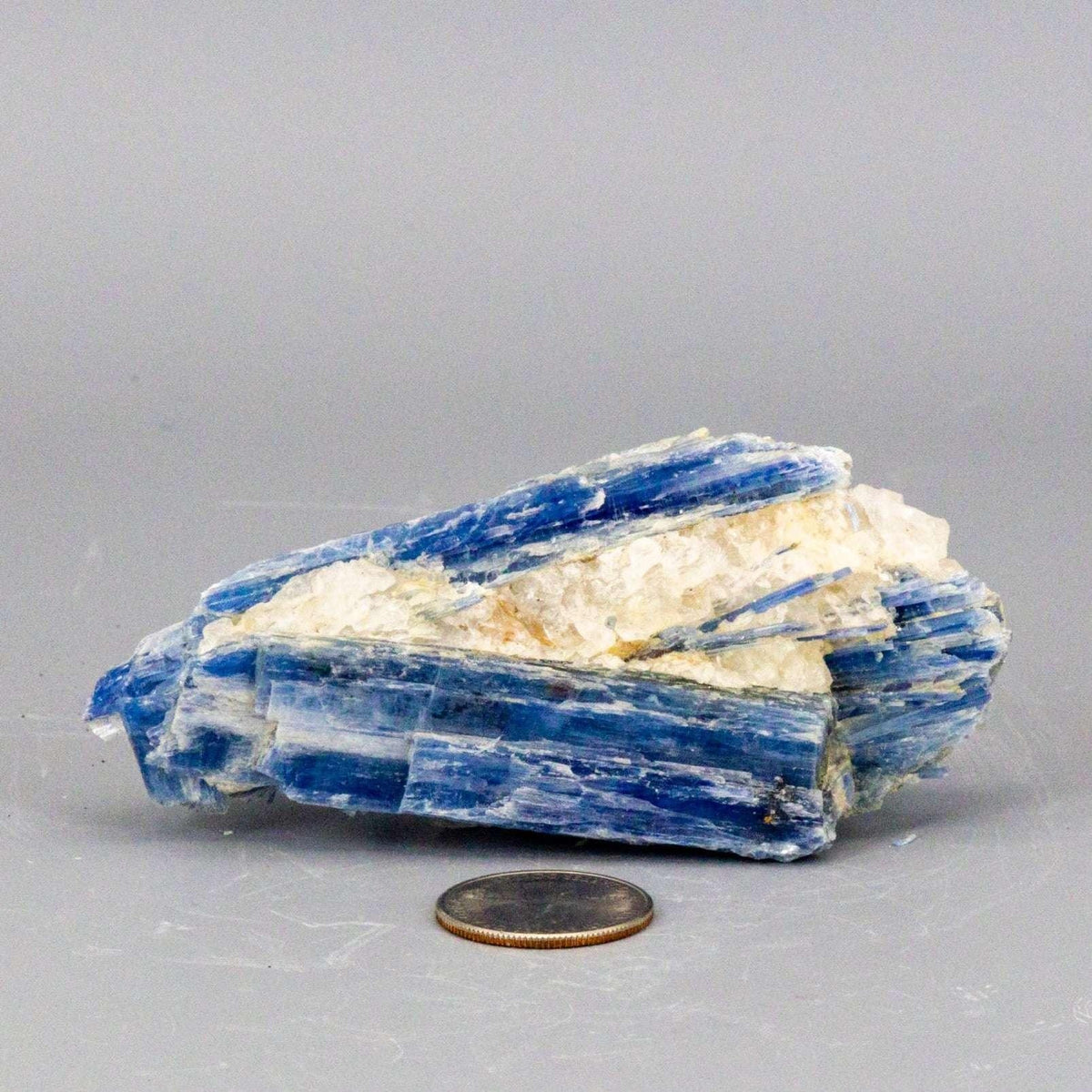Blue Kyanite Crystal Blades in Clear Quartz Cluster