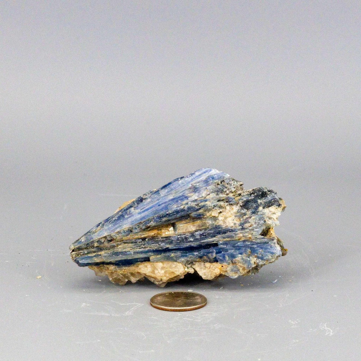 Blue Kyanite Crystal Blades in Clear Quartz Cluster
