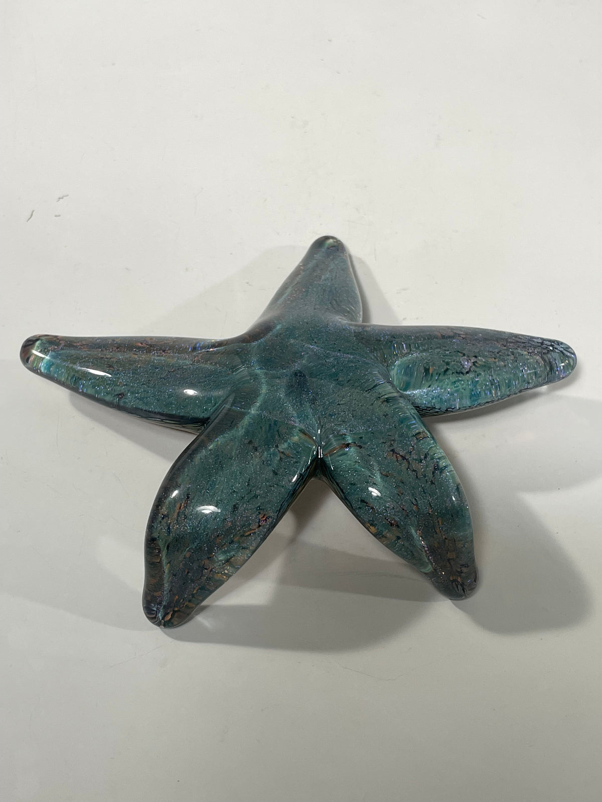 Coronado Sparkle Starfish