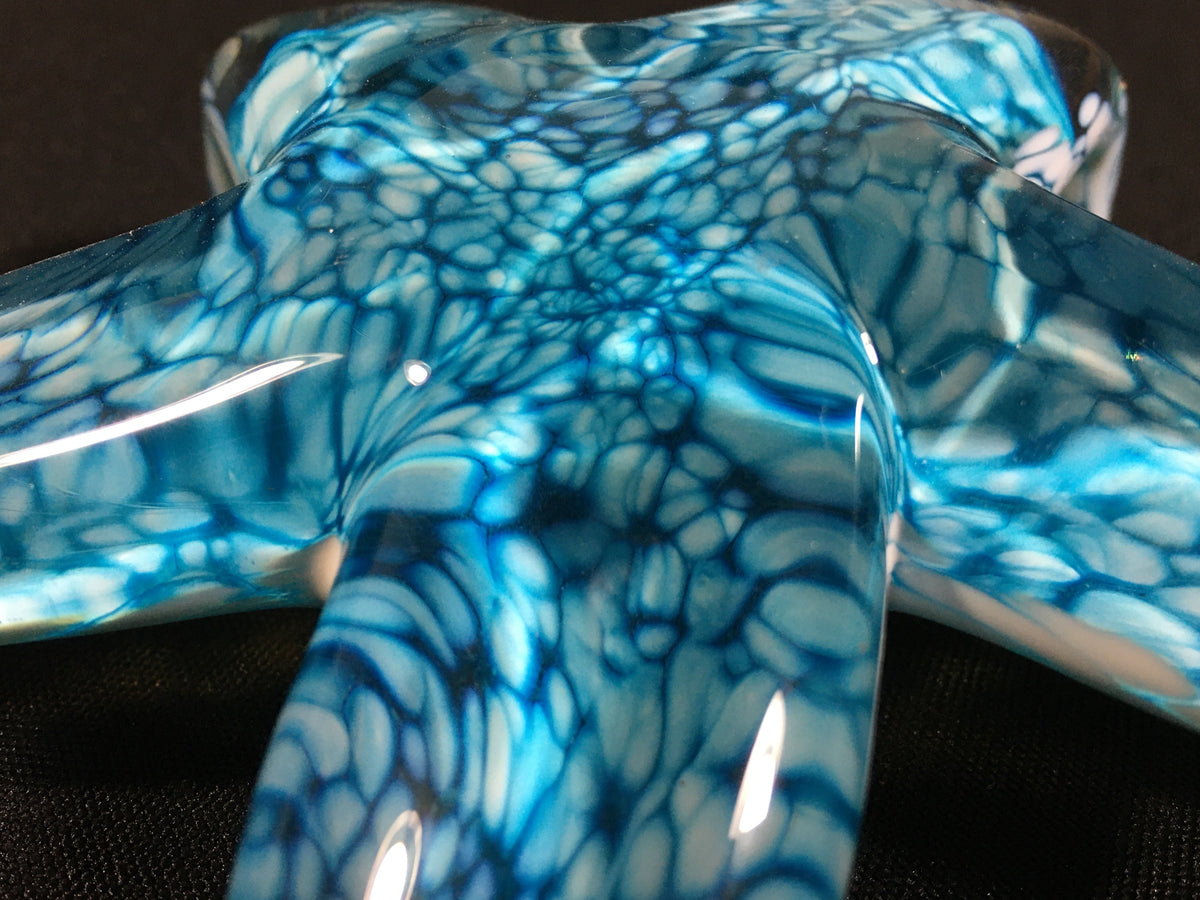 Cool Aqua