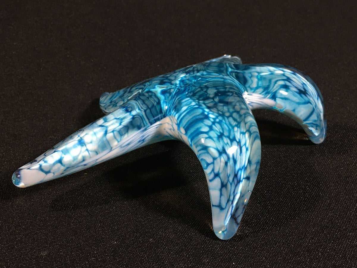 Cool Aqua