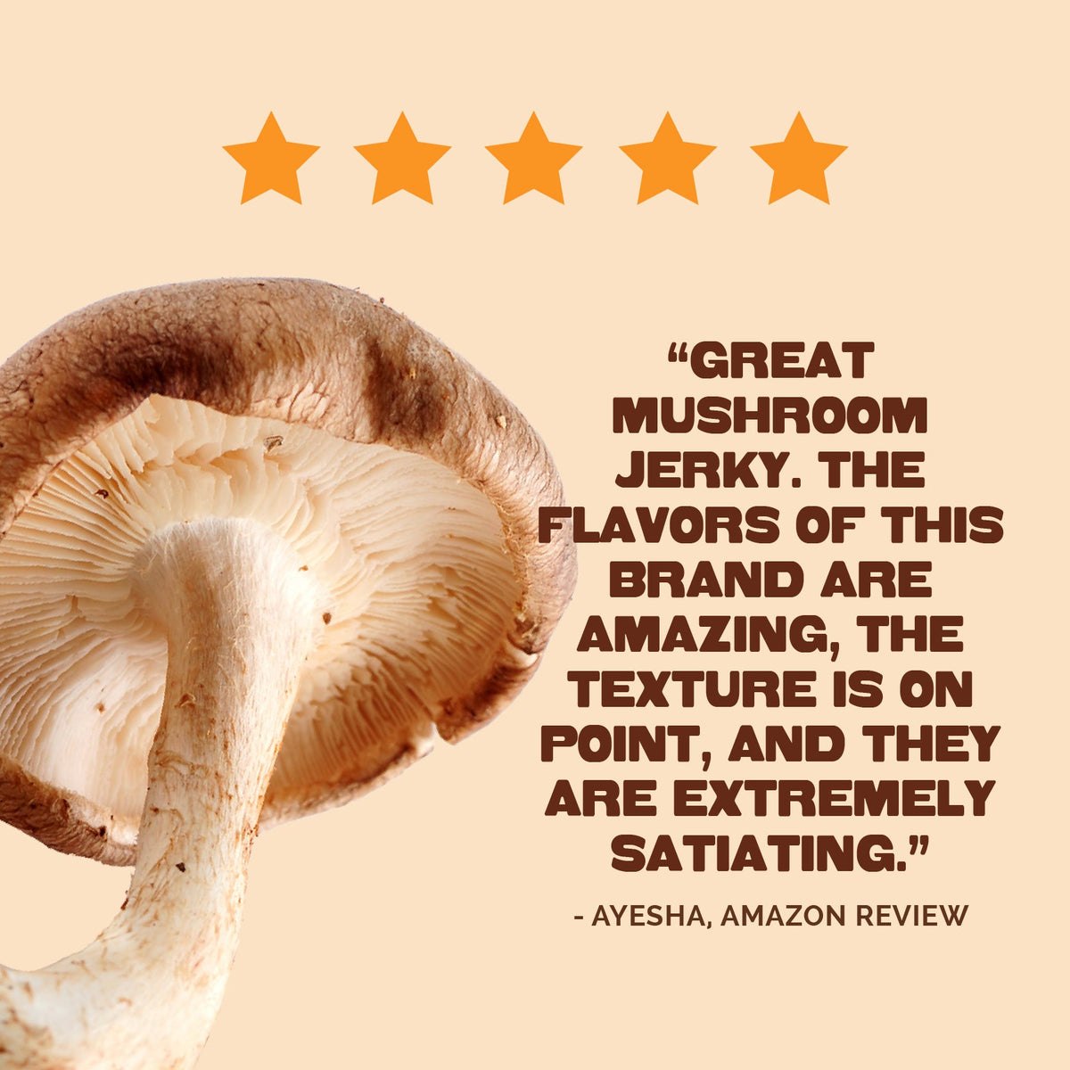 Pan's Mushroom Jerky - The Ultimate Flavor Pack