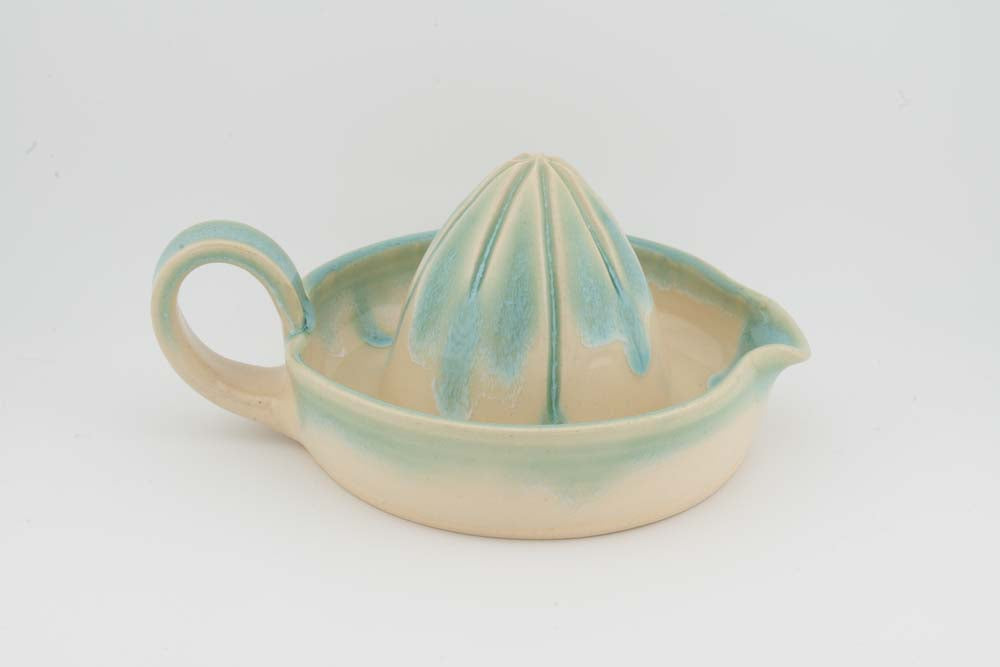 Citrus Juicer
