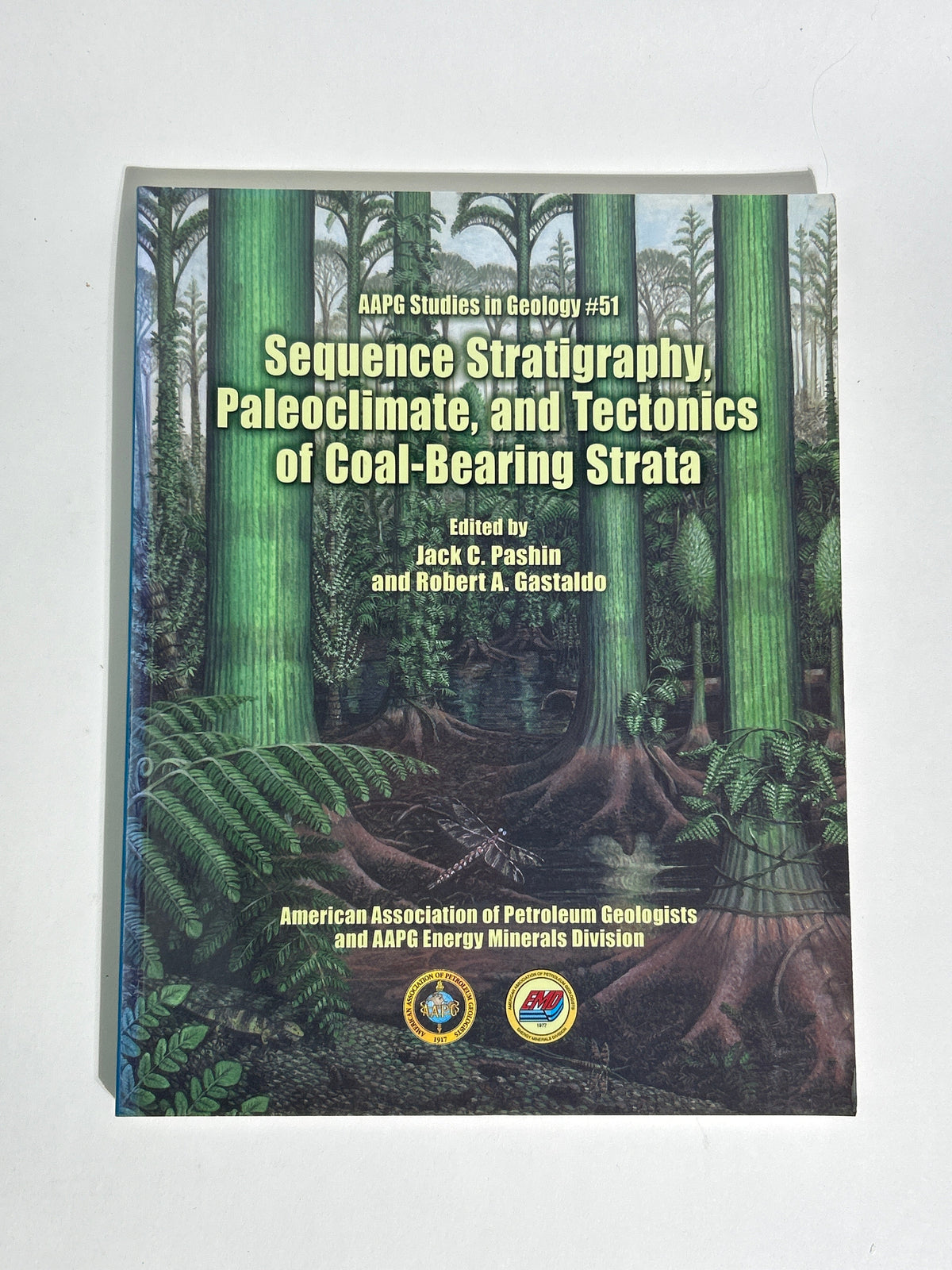 Professional Petroleum Geology & Well Log Library – AAPG Schlumberger 12 Books