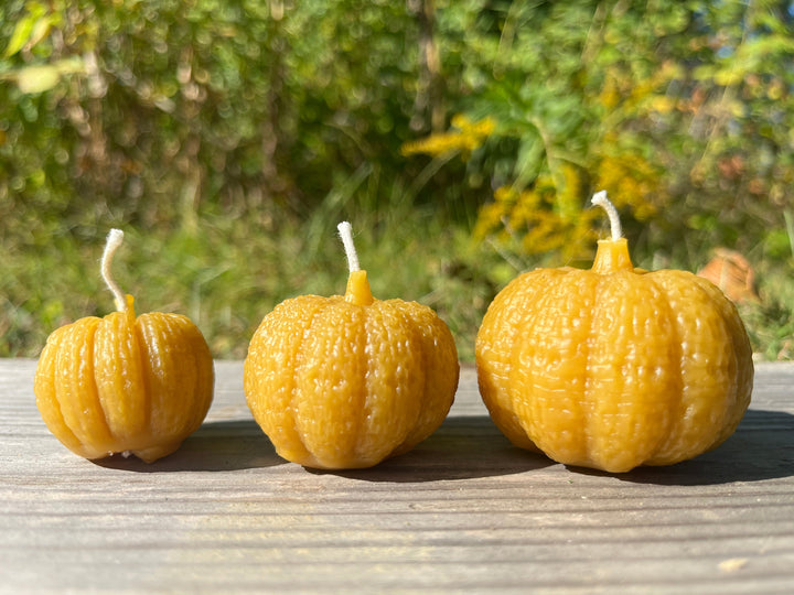 Pumpkin Votive Candle