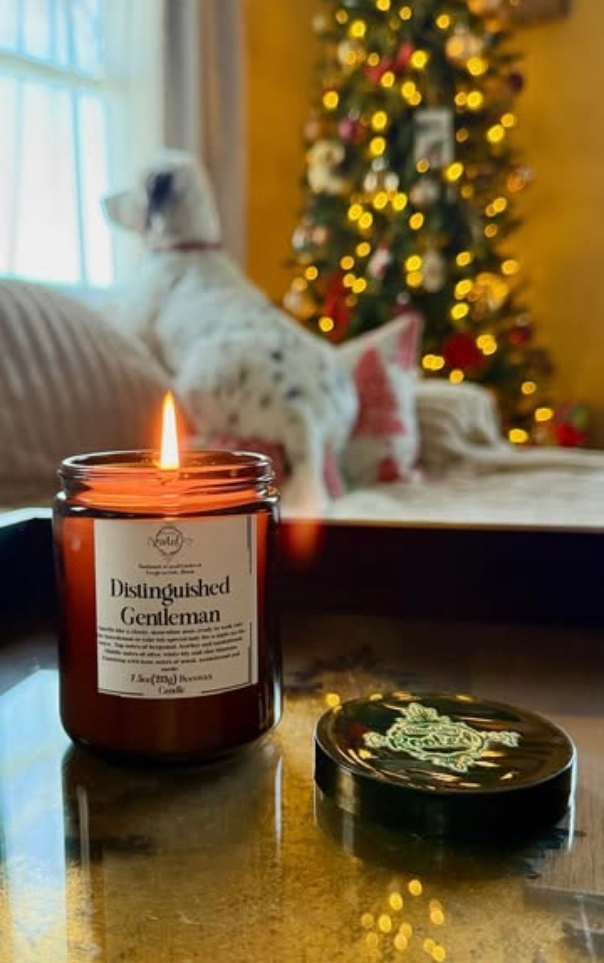Distinguished Gentleman - Beeswax Candle - 7.5oz - Amber, Hickory, Suede