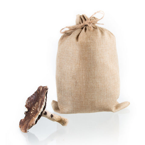 Garden Giants Mushroom Grow Kit - Outdoor