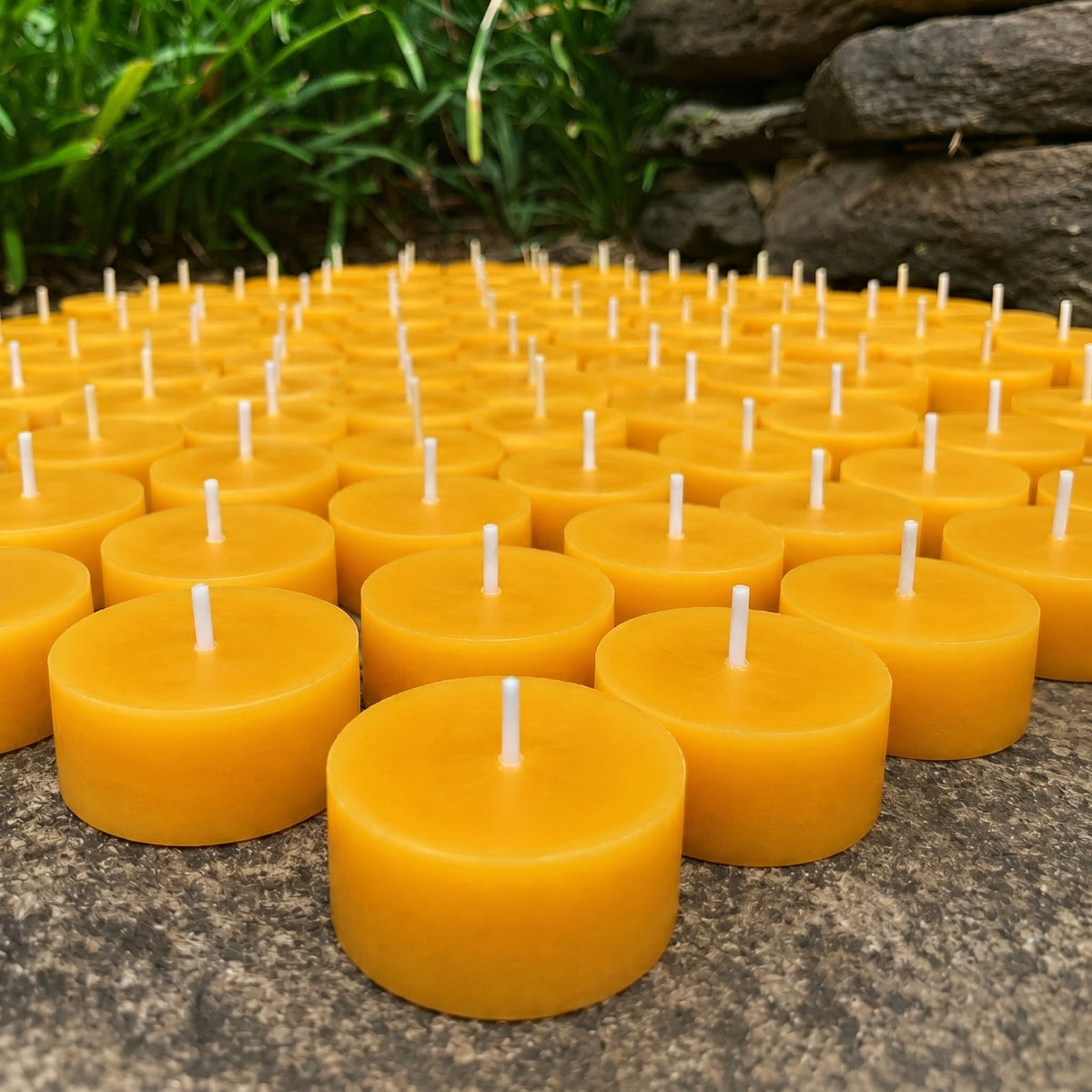 Tealight Refill Beeswax Candles
