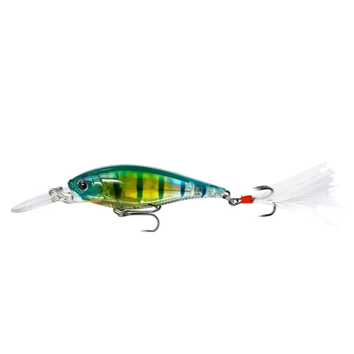 3D Minnow