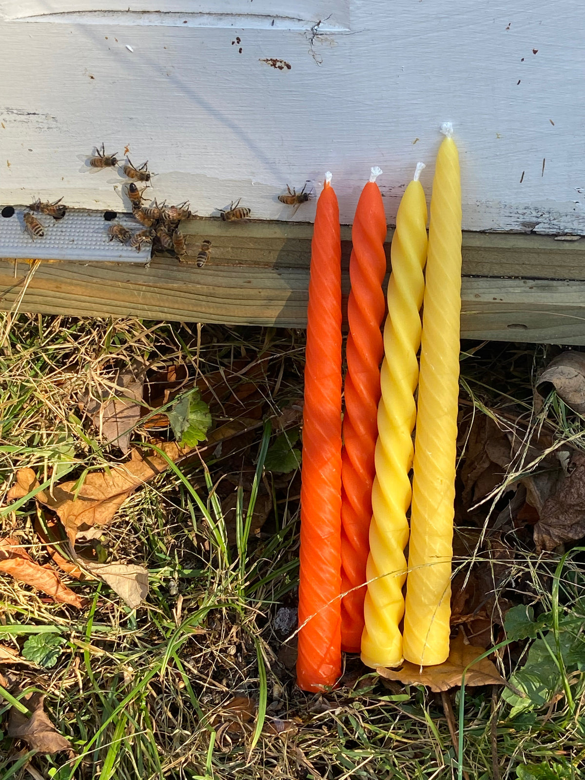 Tapered Pattern Candles