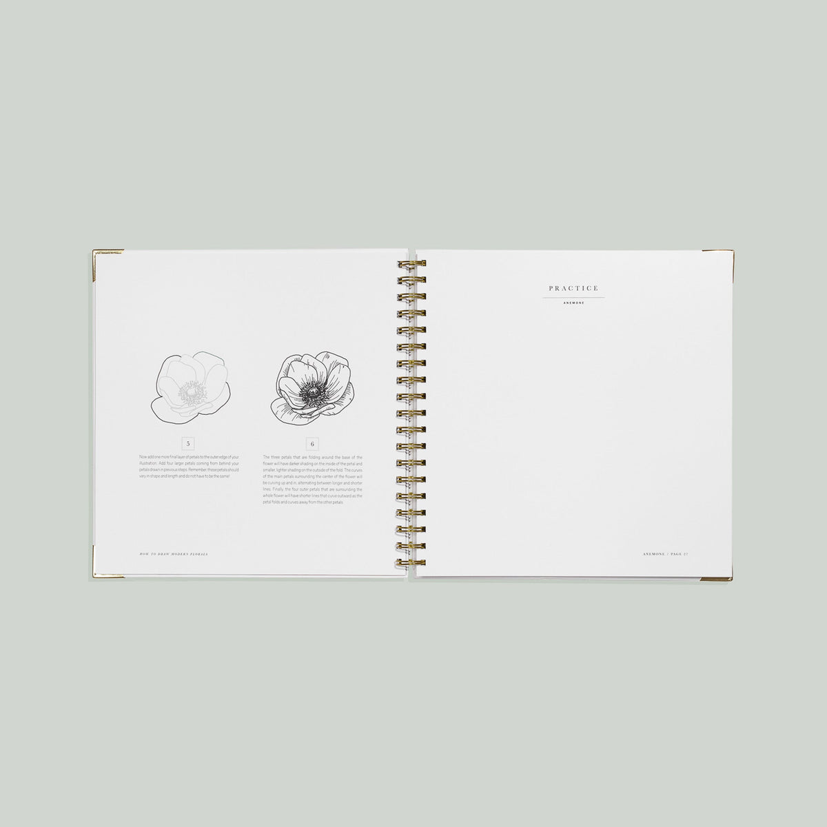 How to Draw Modern Florals