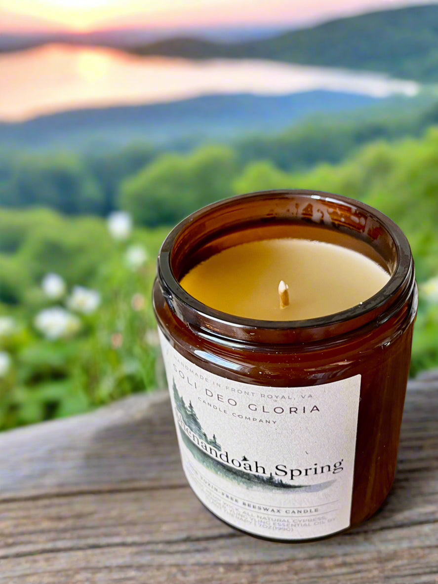Veritas & Vitalis Spring Collection | Hand-Poured 100% Beeswax Candle Gift Set