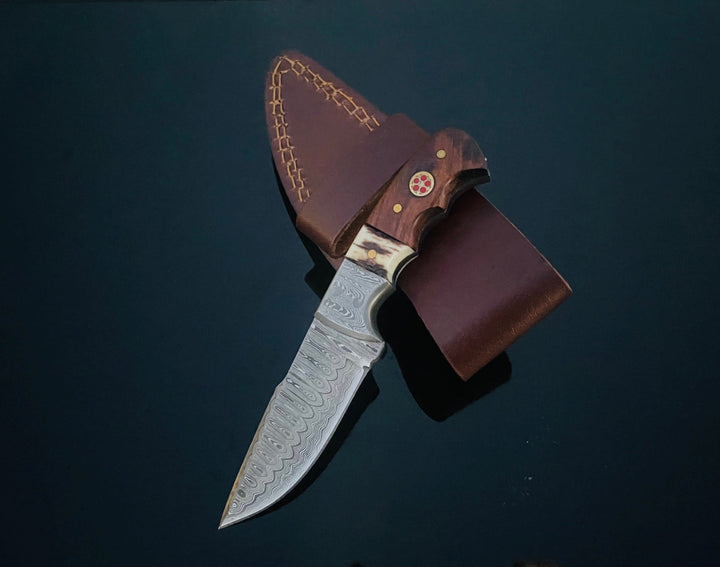 DAMASCUS STEEL FIXED BLADE KNIFE WITH WALNUT & STAG HORN HANDLE HUNTING KNIFE MINI TD-159X