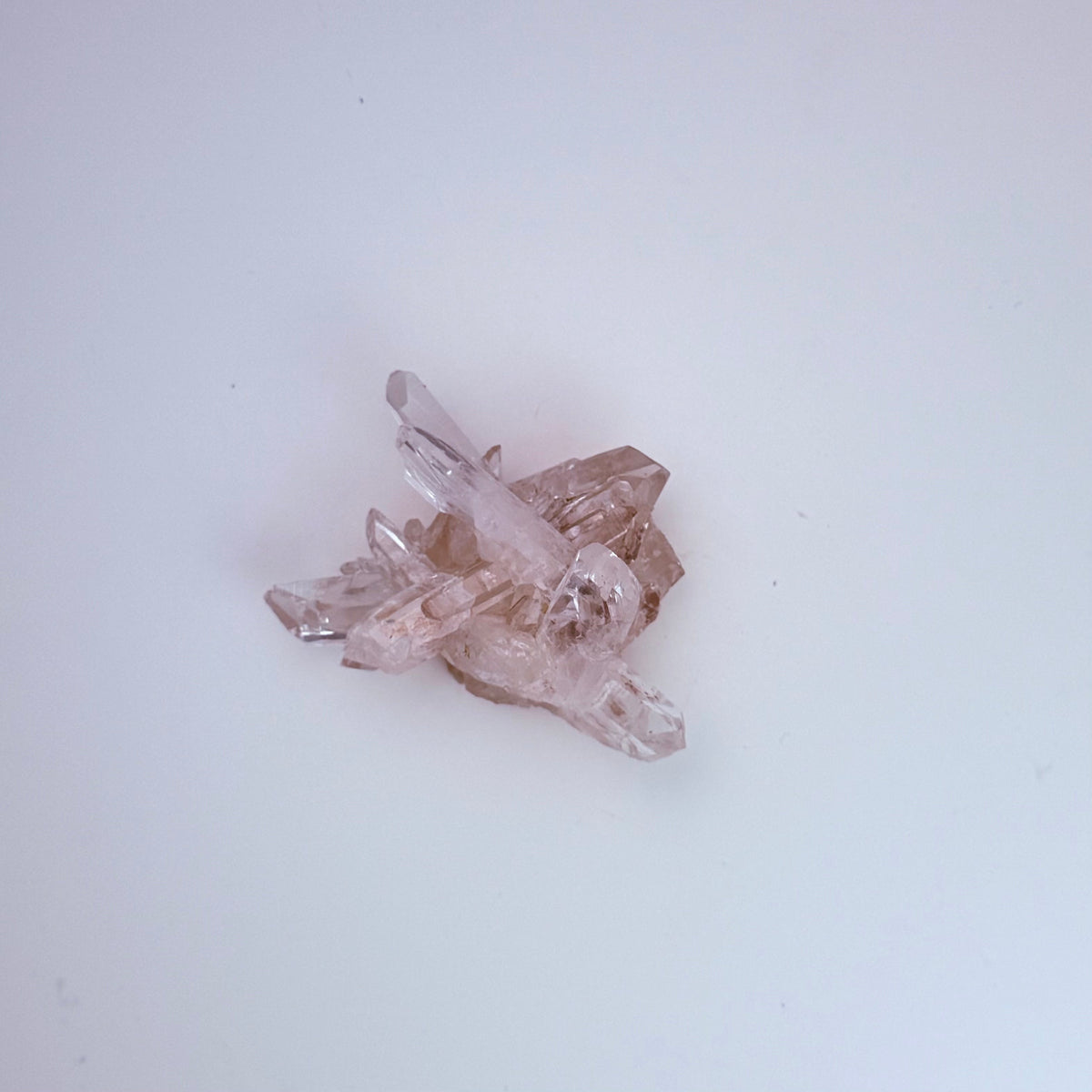 Lemurian Quartz