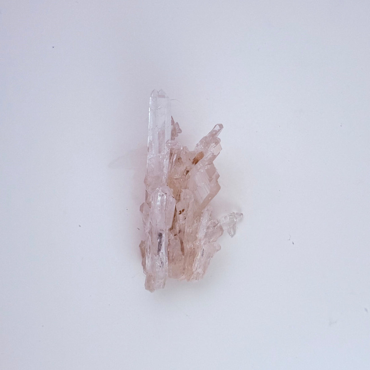 Lemurian Quartz