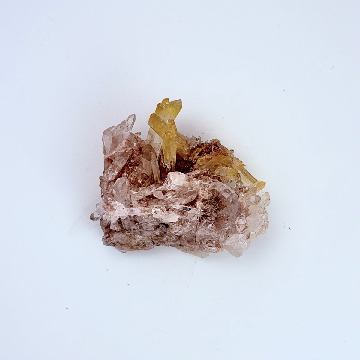 Lemurian Quartz