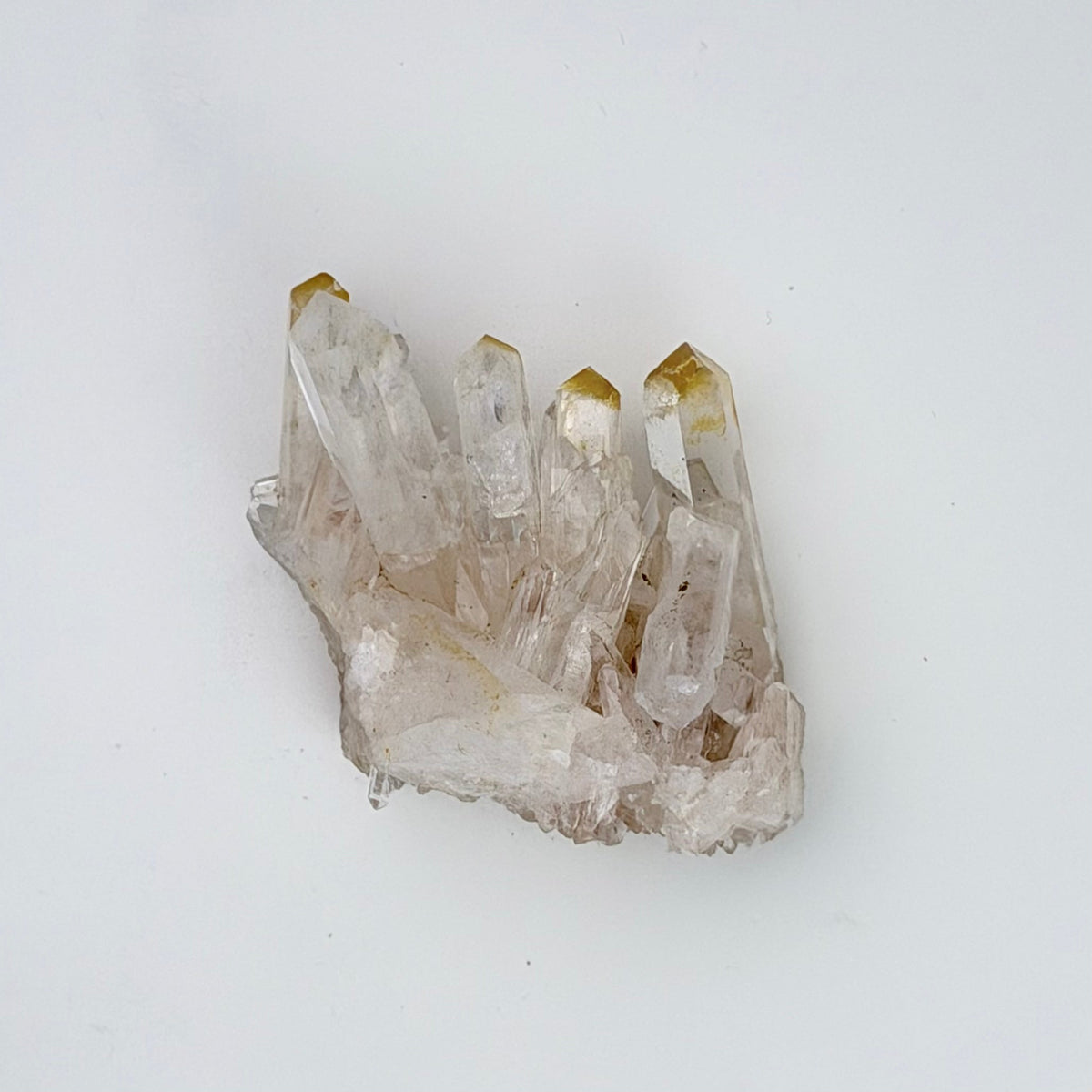 Lemurian Quartz
