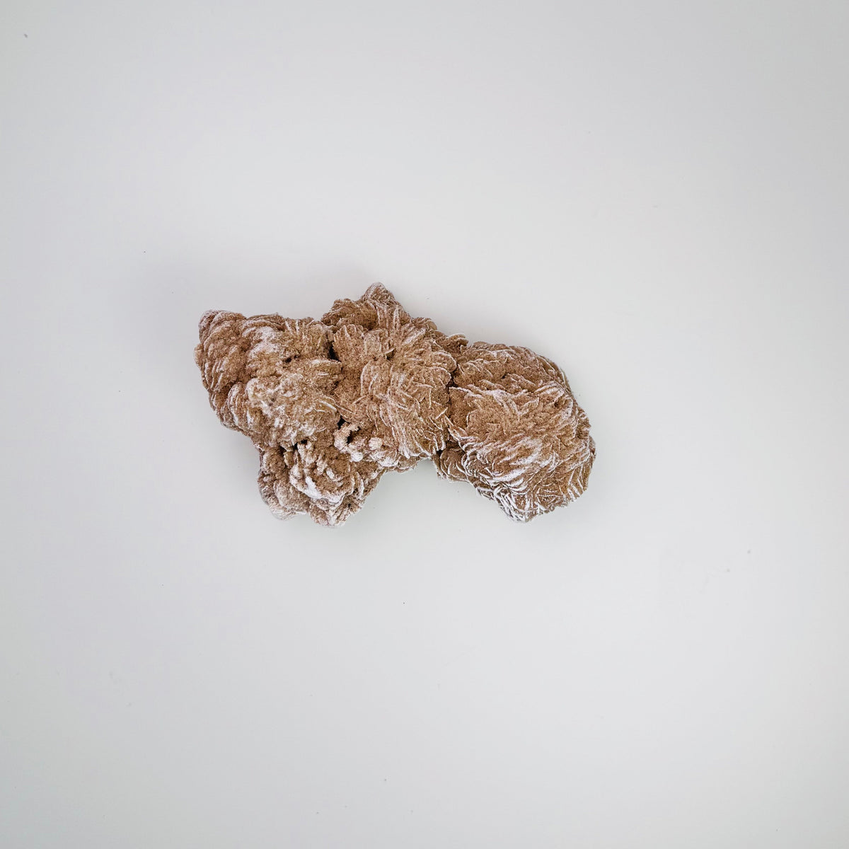 Desert Rose