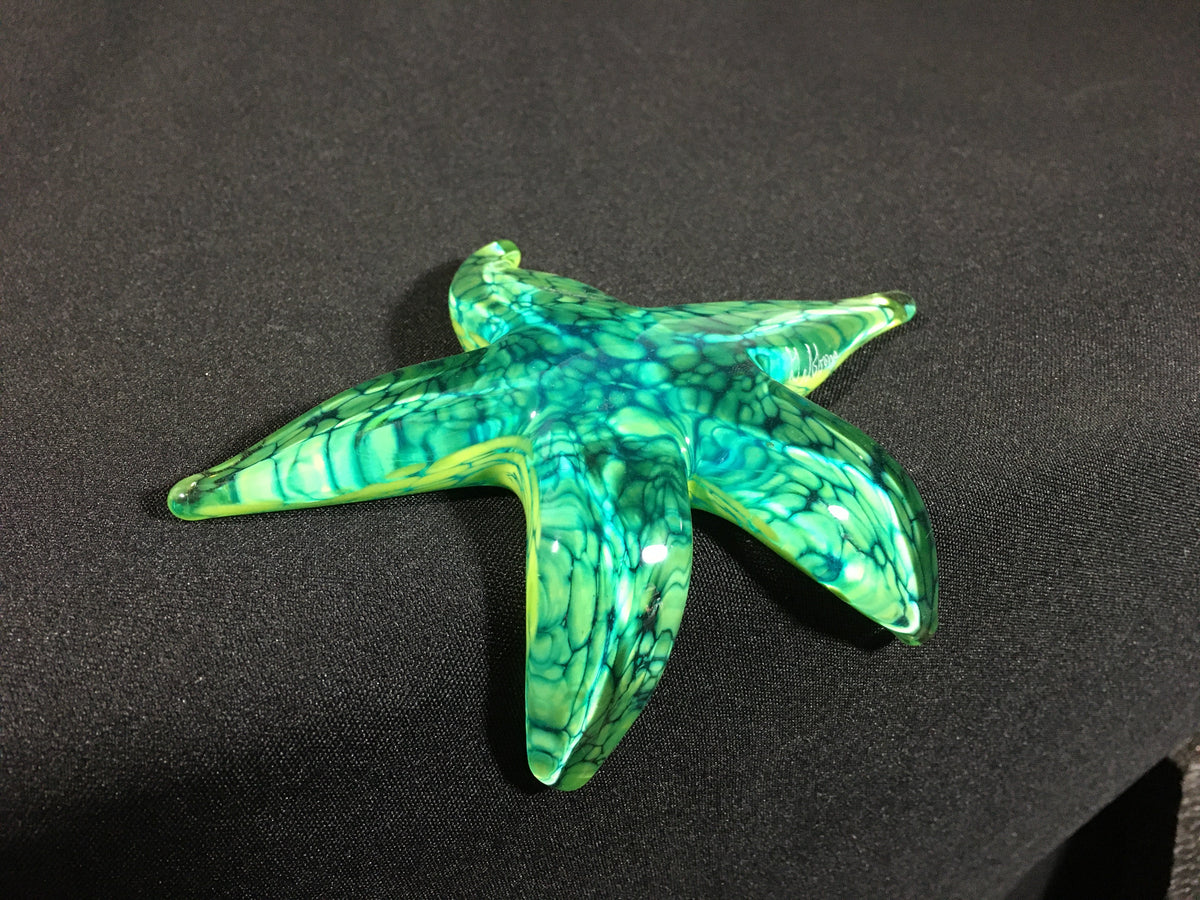 Tropical Paradise Starfish