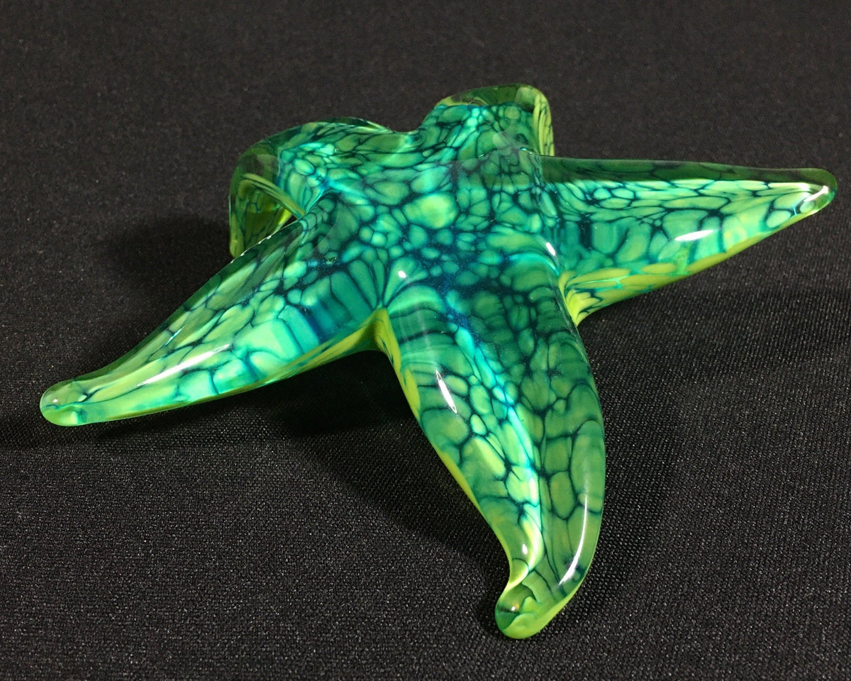 Tropical Paradise Starfish
