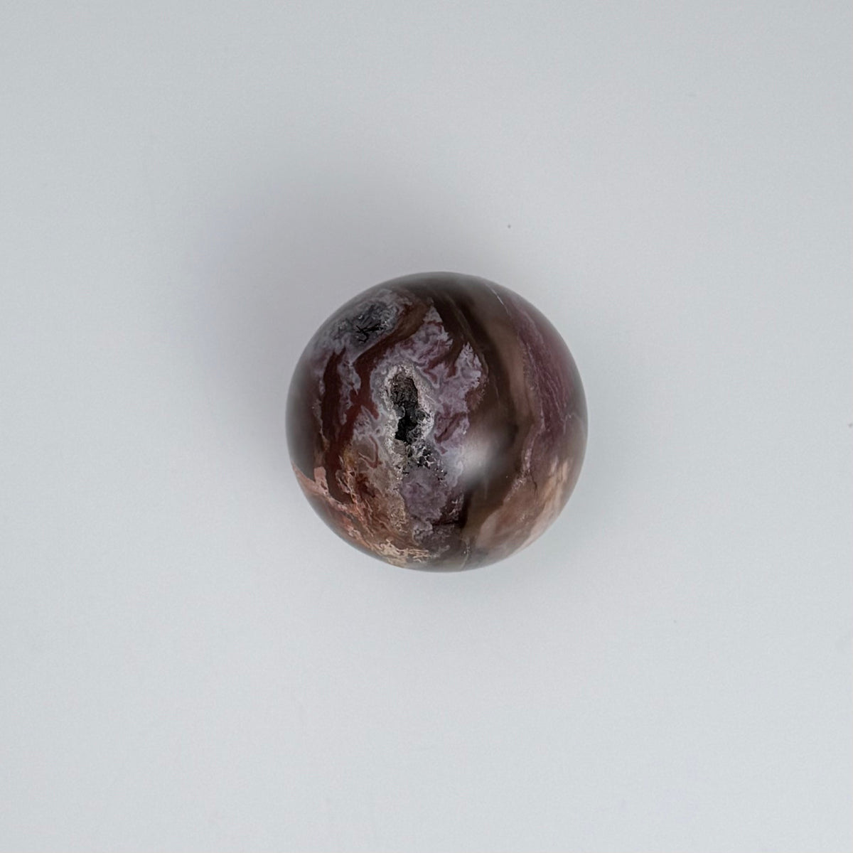 Petrified Wood