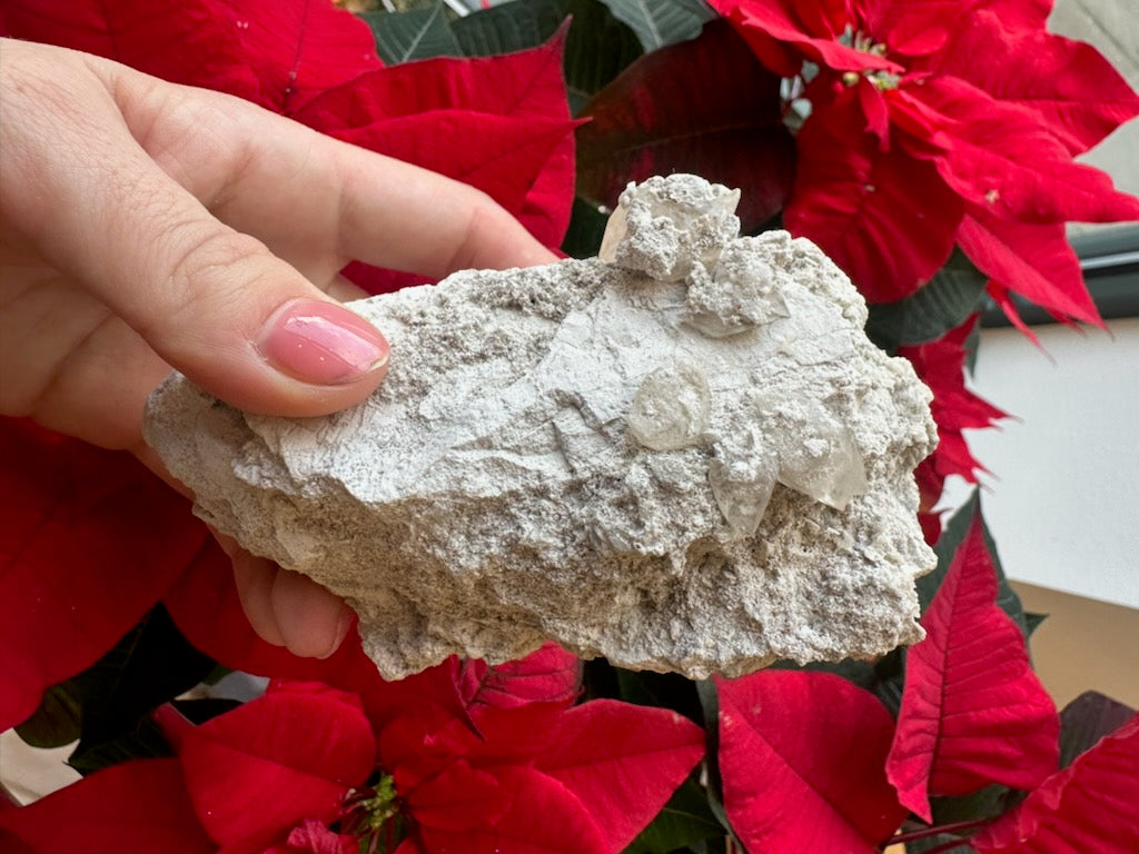 Elmwood Calcite Cluster on Matrix