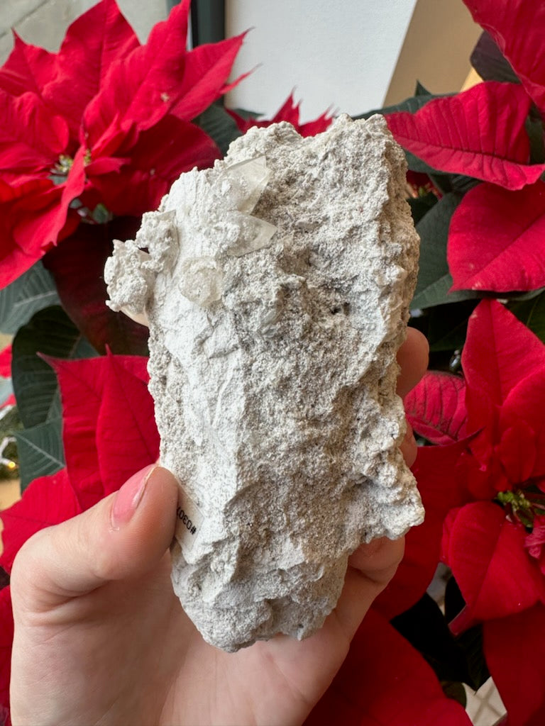Elmwood Calcite Cluster on Matrix