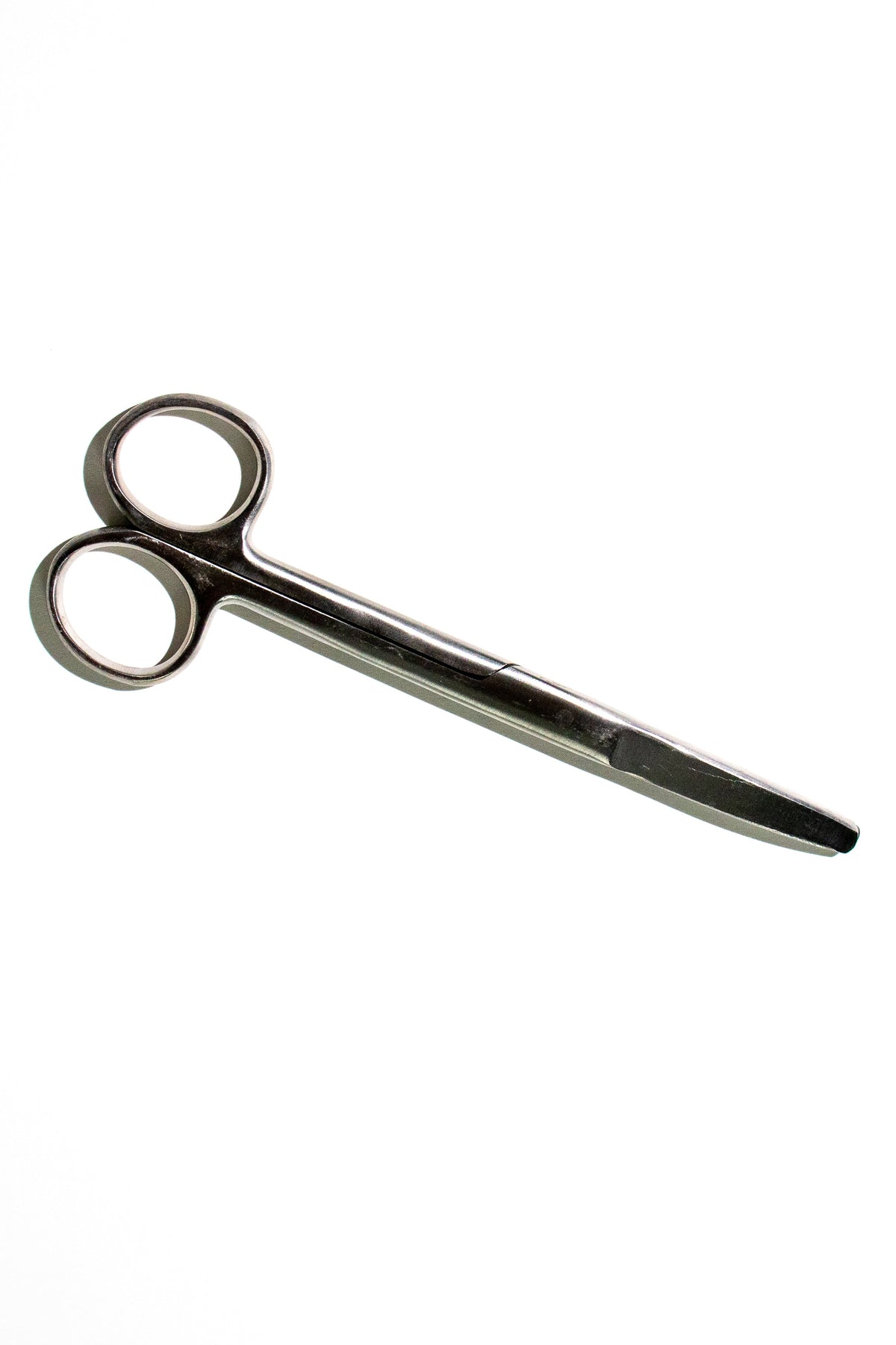 Large Surgical Scissors - 6.5"