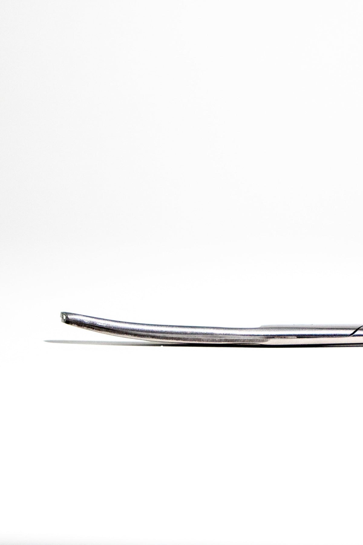 Large Surgical Scissors - 6.5"