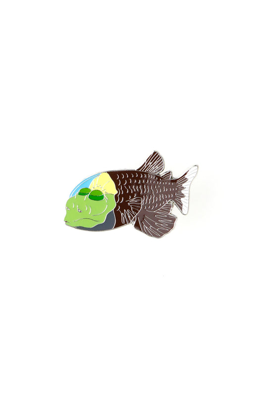 Barreleye Enamel Pin (Macropinna microstoma)