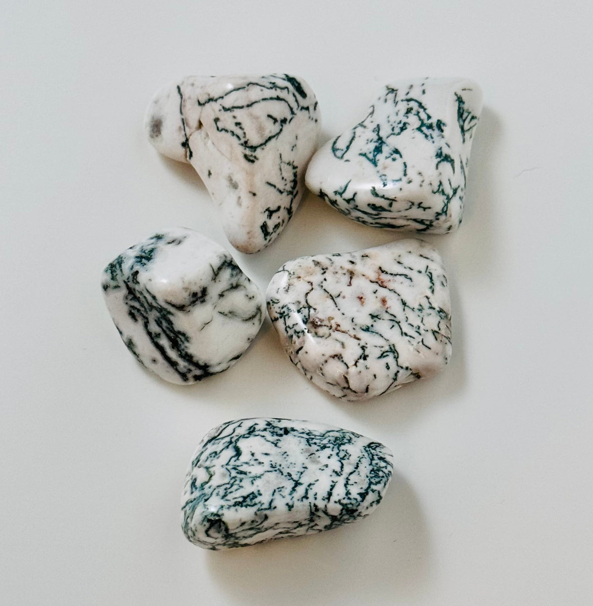 Tree Agate