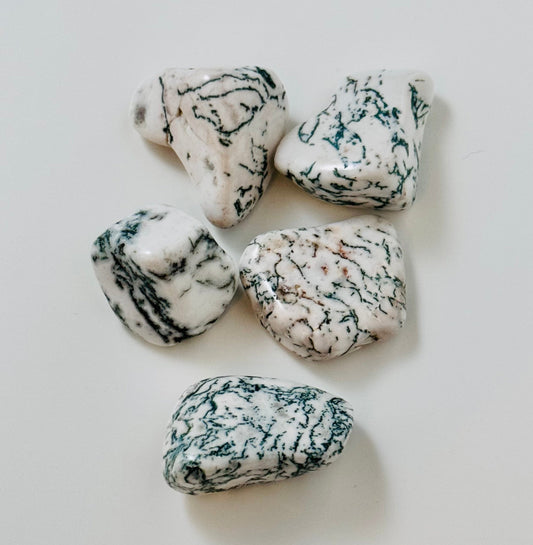 Tree Agate
