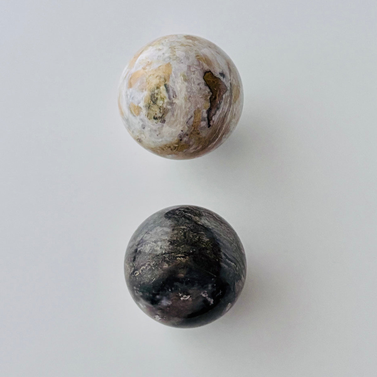 Bumble Bee Jasper