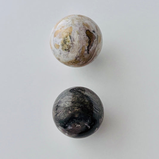 Bumble Bee Jasper