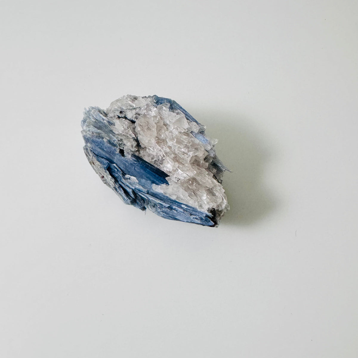 Blue Kyanite w/quartz